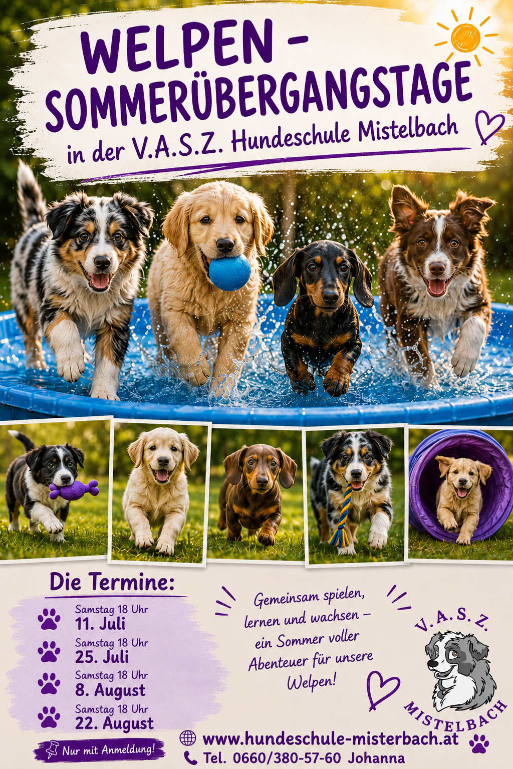 Flyer zu den Welpen-Sommerübergangstagen
