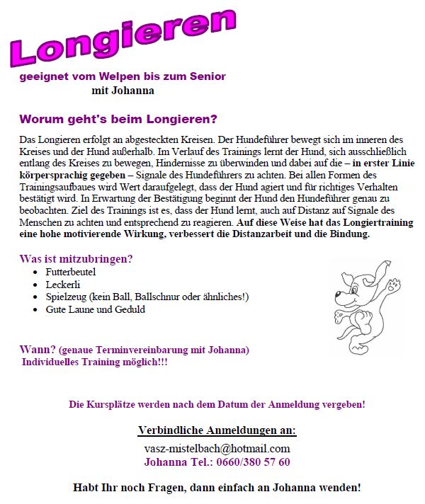 Infoblatt zum Longieren
