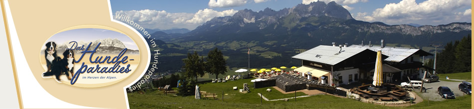 Oberndorf in Tirol www.hundeparadies.com